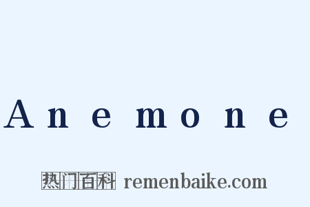 Anemone是什么意思的图片
